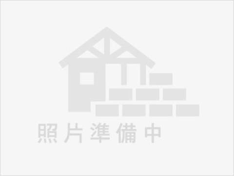 台中縣市合併增值